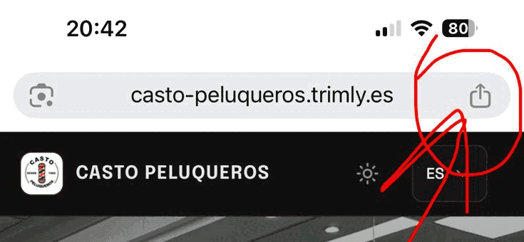 La barra de direcciones de Chrome en un iPhone, con el icono de compartir marcado