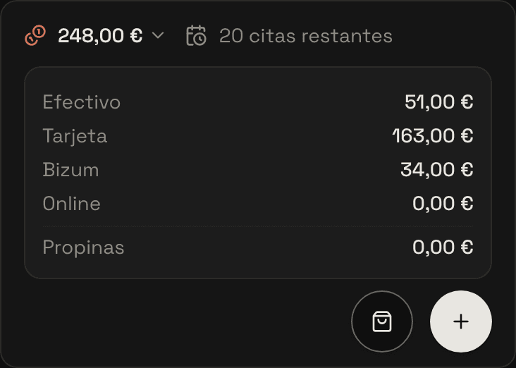 «Caja de hoy» con el total del salón por forma de pago y el desglose por profesional, con la línea de Ana separada.